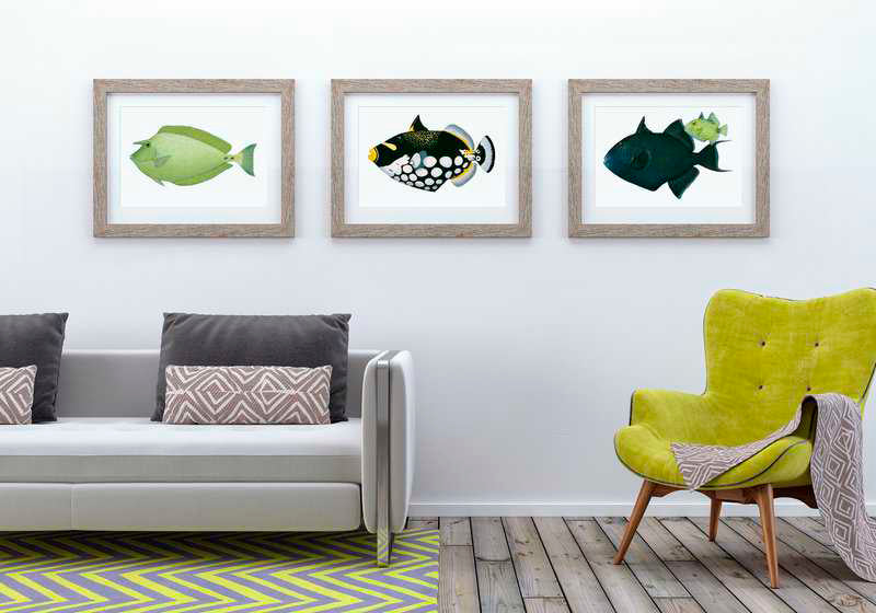 Framed fine art prints of the Bluespine Unicornfish,Clown Triggerfish,Yellowspotted Triggerfish