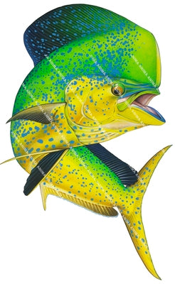 Jumping Mahi Mahi