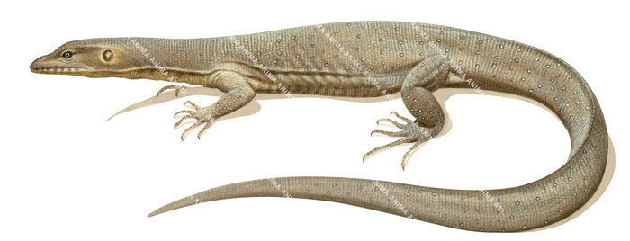 Mertens Water Monitor