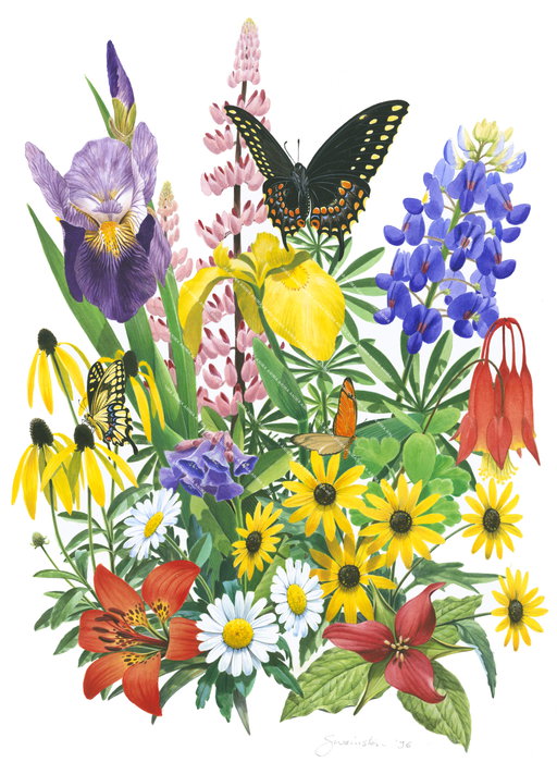 Spring Flowers bouquet with butterflies