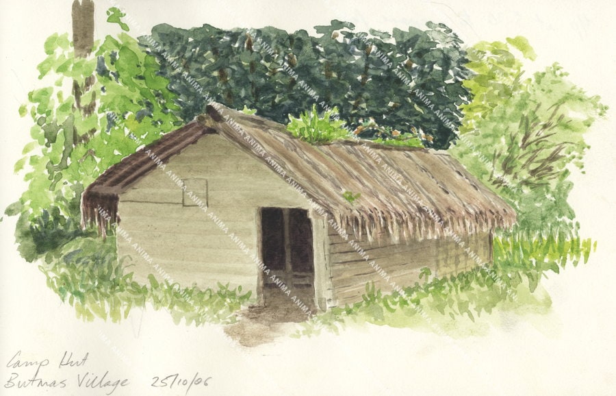 Sketch of a Camp Hut,Butmas village, Vanuatu