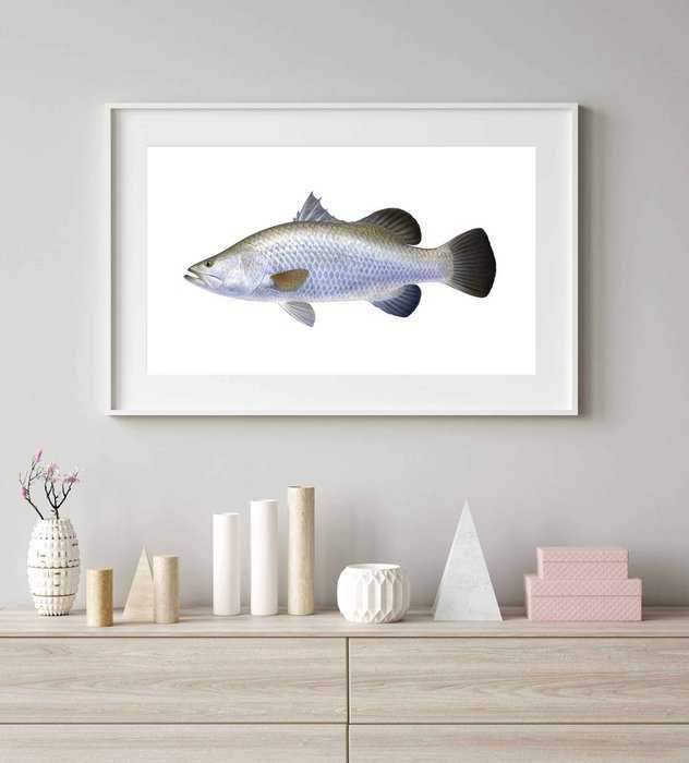 Framed Museum quality Limited Edition of the Barramundi signed by R.Swainston