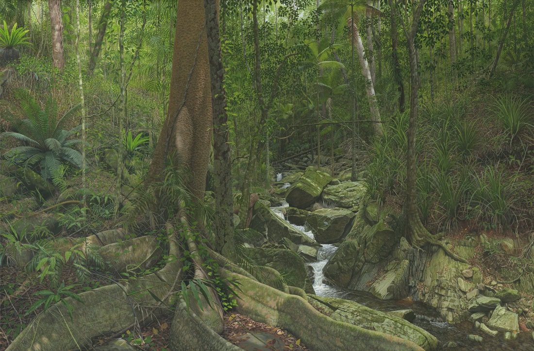 Painting of the Daintree Creek on canvas depicting the forest and a beautiful water fall.