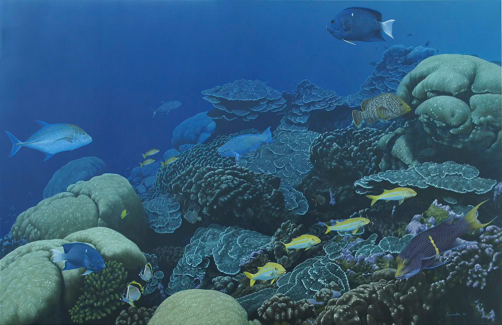 A Print of a coral reef painting by R.Swainston, mostly blue colour.