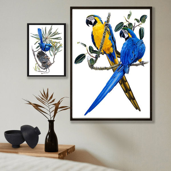 Framed Art print of the Blue and Yellow Macaws on a wall with decor.