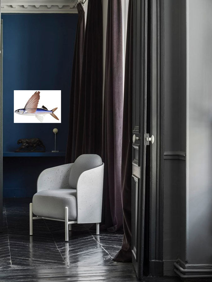 Print of the Flyingfish framed on dark blue wall