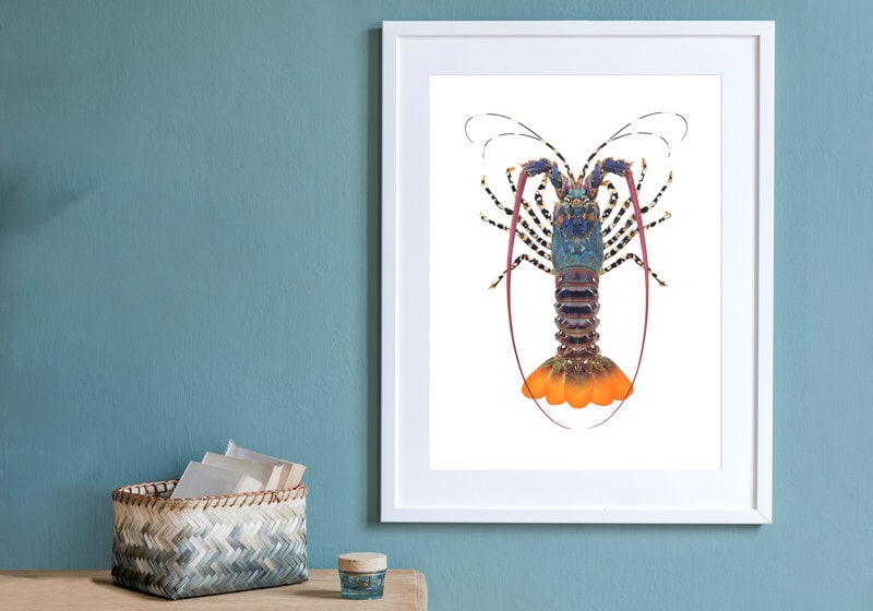 Ornate Rock Lobster-Print