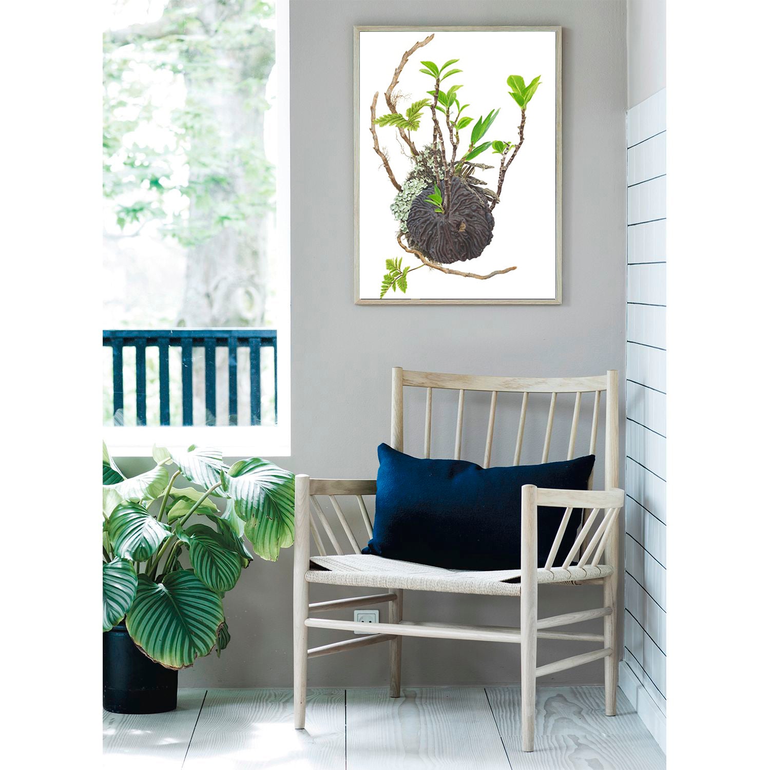 Wall fine art print featuring the Ant plant by Roger Swainston above a chair with blue seat.