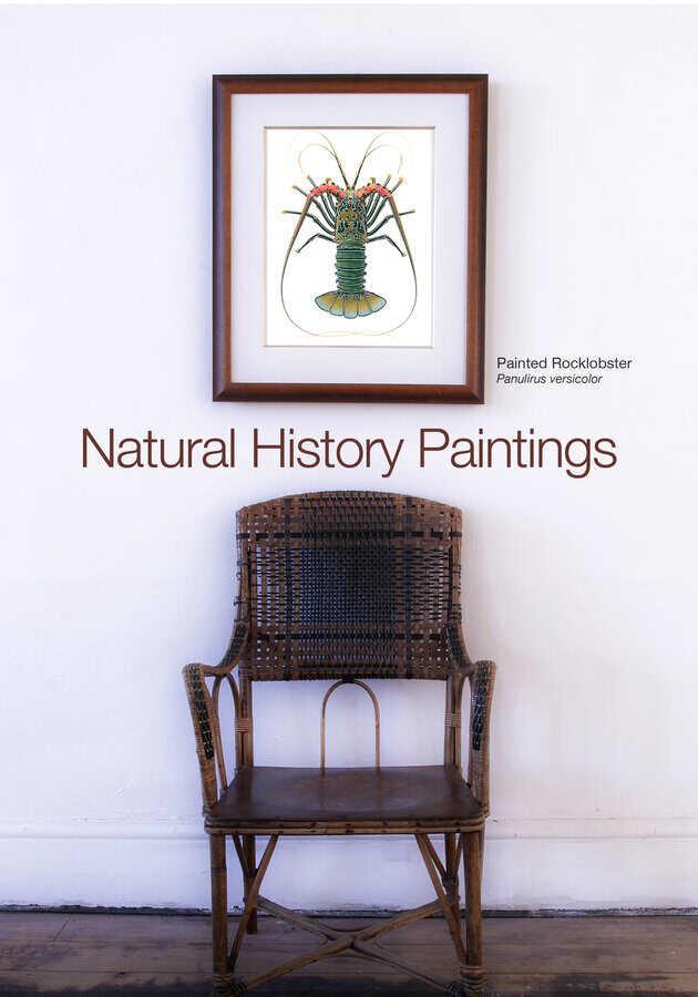 Framed print of a Painted Rock Lobster on a white wall above a wicker chair.