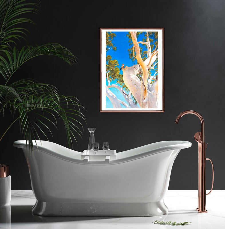 Framed Fine Art print of the Minilya Ghost Gum by Roger Swainston