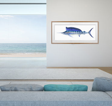 Museum quality print of the Juvenile Black Marlin, several sizes