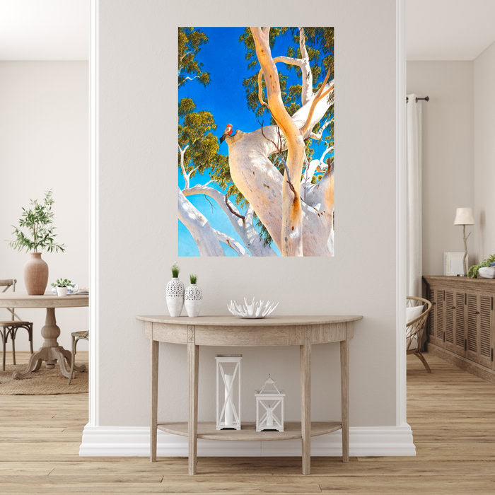 Framed Fine Art print of the Minilya Ghost Gum signed by the artist