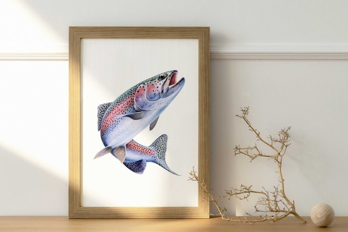 Stunning Fine Art print of the Rainbow Trout on Archival paper by Roger Swainston