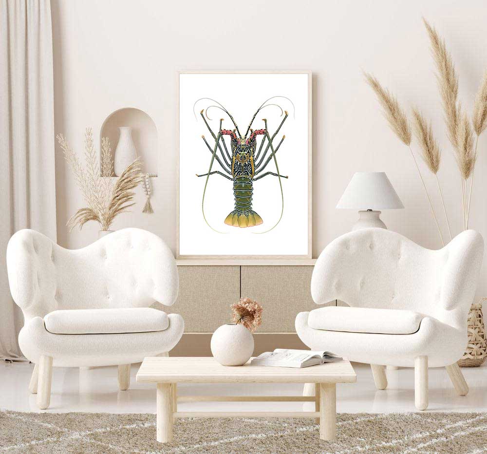 Framed High quality print of the Painted Rock Lobster by Roger Swainston