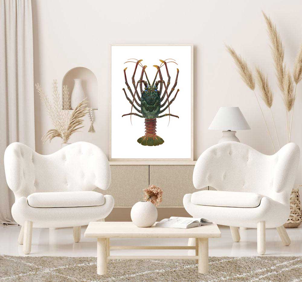 Doublespined Rock Lobster-Print