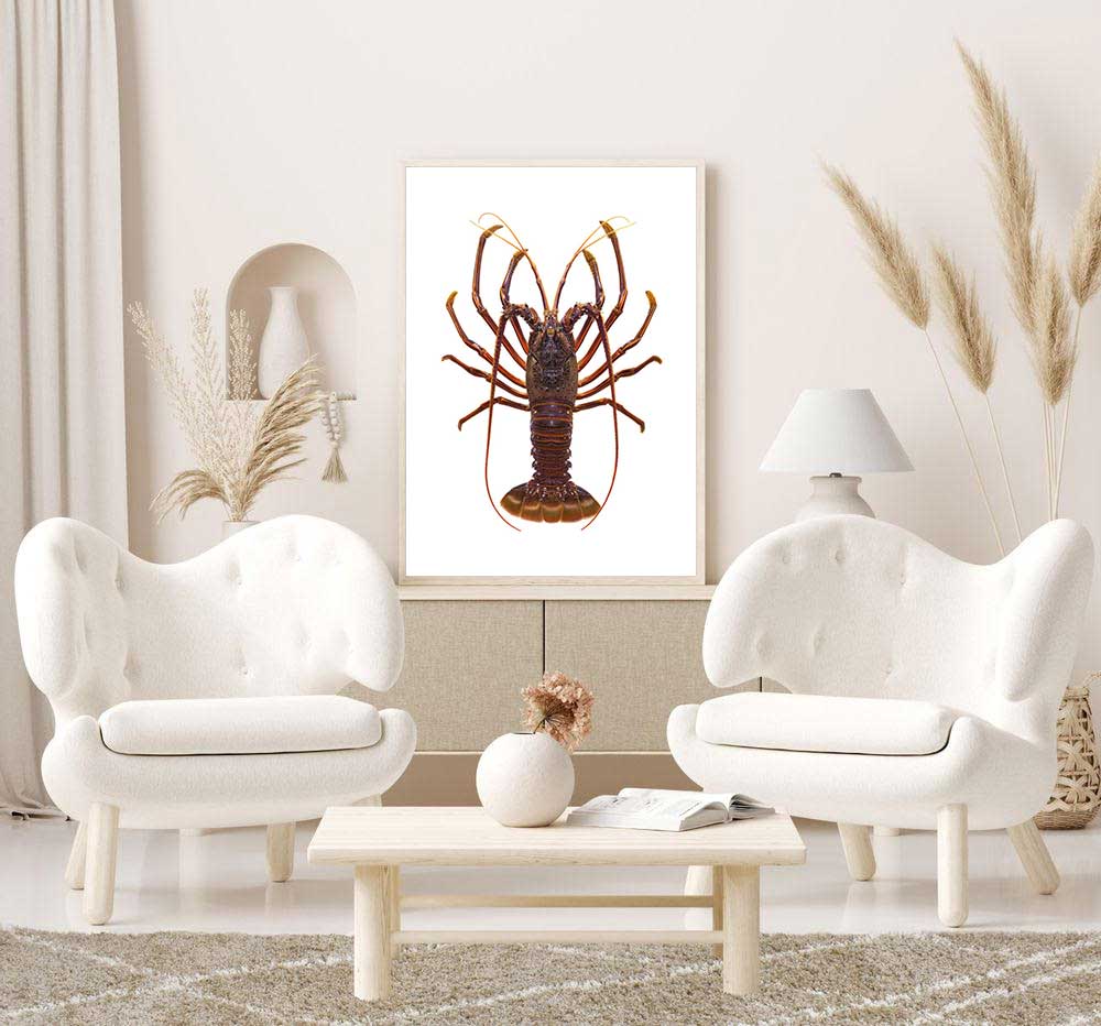 Framed Fine Art print of the Western Rock Lobster by Roger Swainston