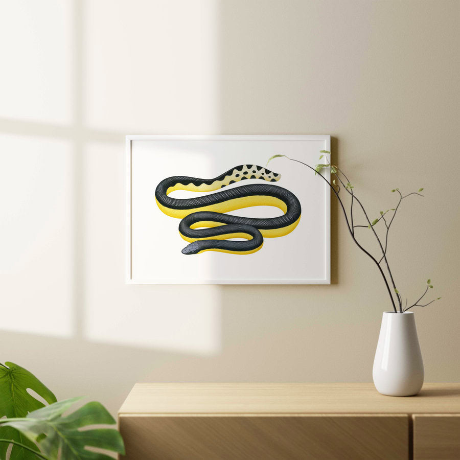 natural wall fine art print featuring the Yellow-bellied Sea Snake on archival paper and pigment inks.