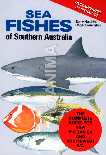A Sea Fishes of Southern Australia perfect field guide illustrated by roger Swainston