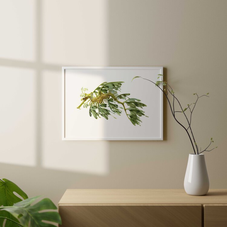 Framed Superb Fine Art print of the Leafy Seadragon by Roger Swainston