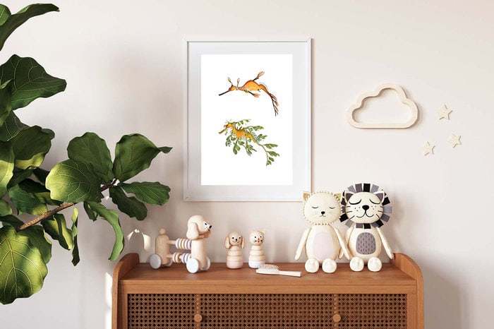 Framed Leafy Seadragon and Common Seadragon on pink wall