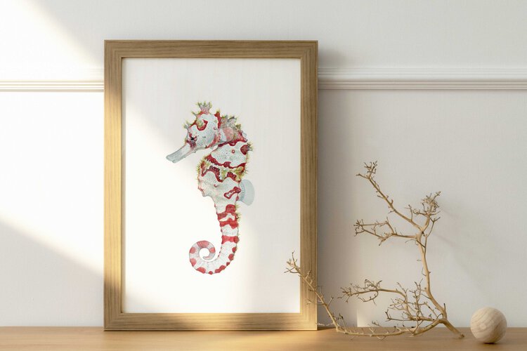 Framed size S Winged Seahorse print