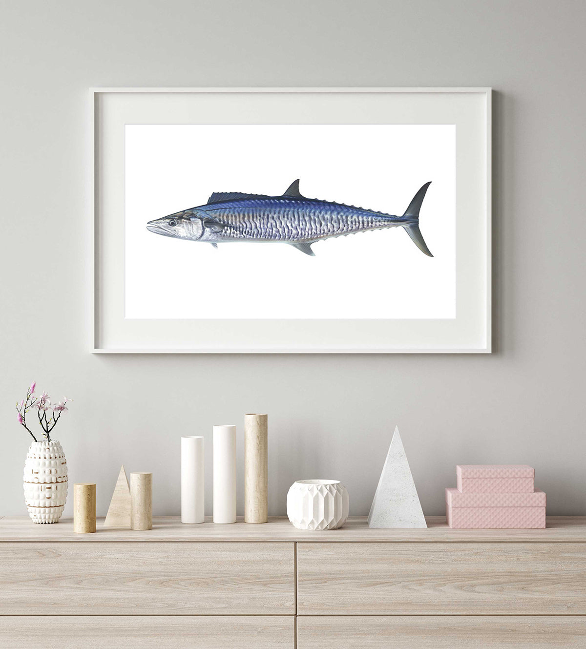 Framed Museum quality Fine Art print of the Spanish Mackerel