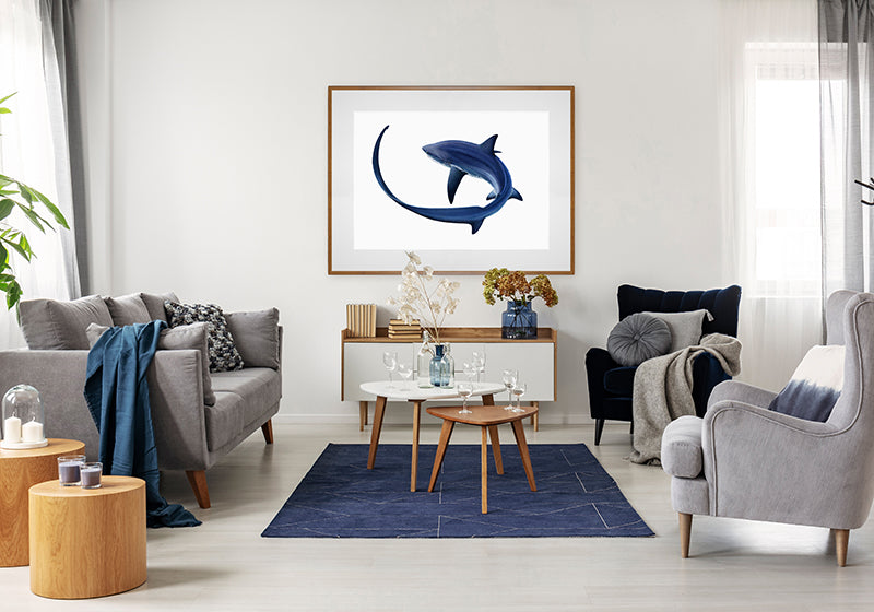 Thresher Shark print framed
