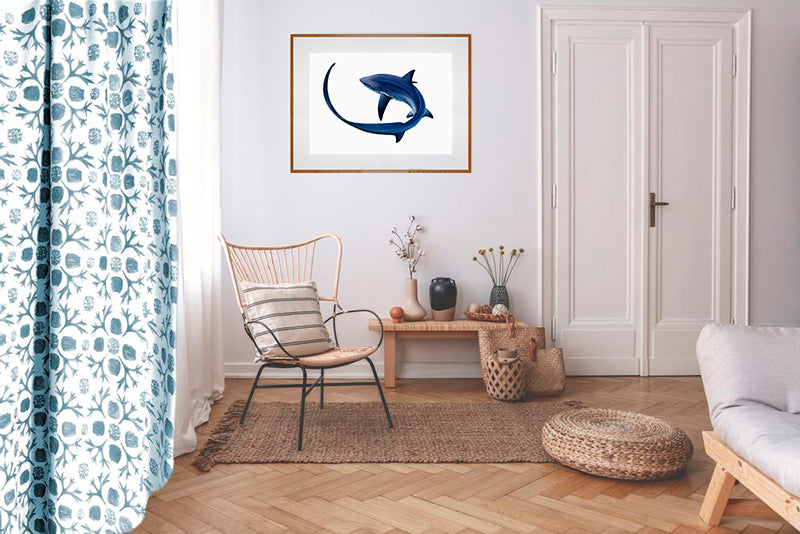 Framed Fine Art print of the elegant Thresher Shark