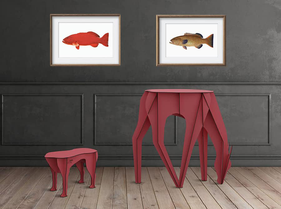 Framed Coral Trout and Passionfruit Coral Trout
