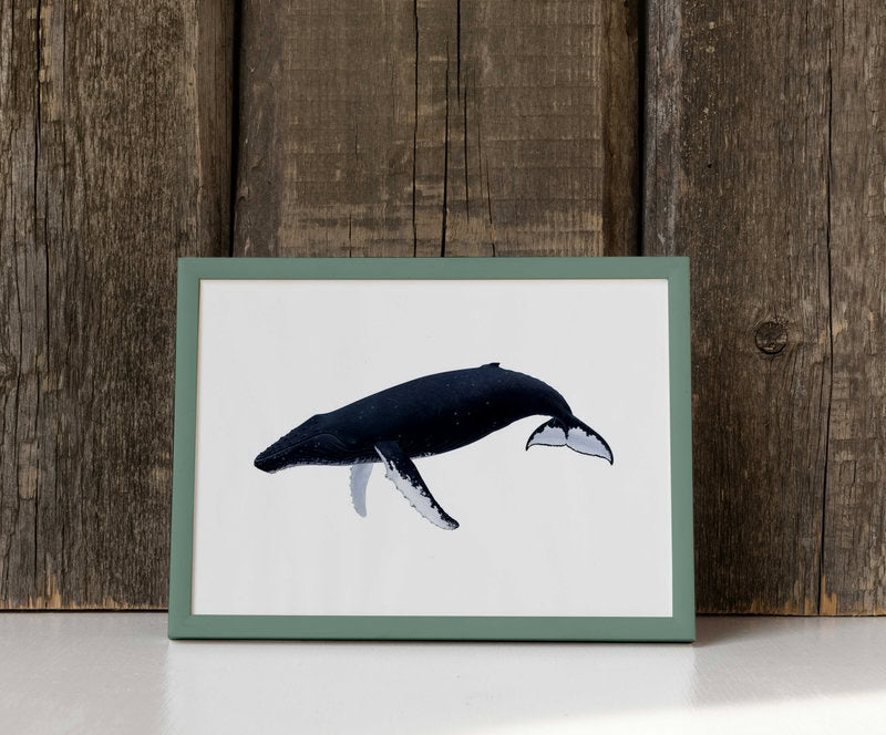 Humpback Whale-Print