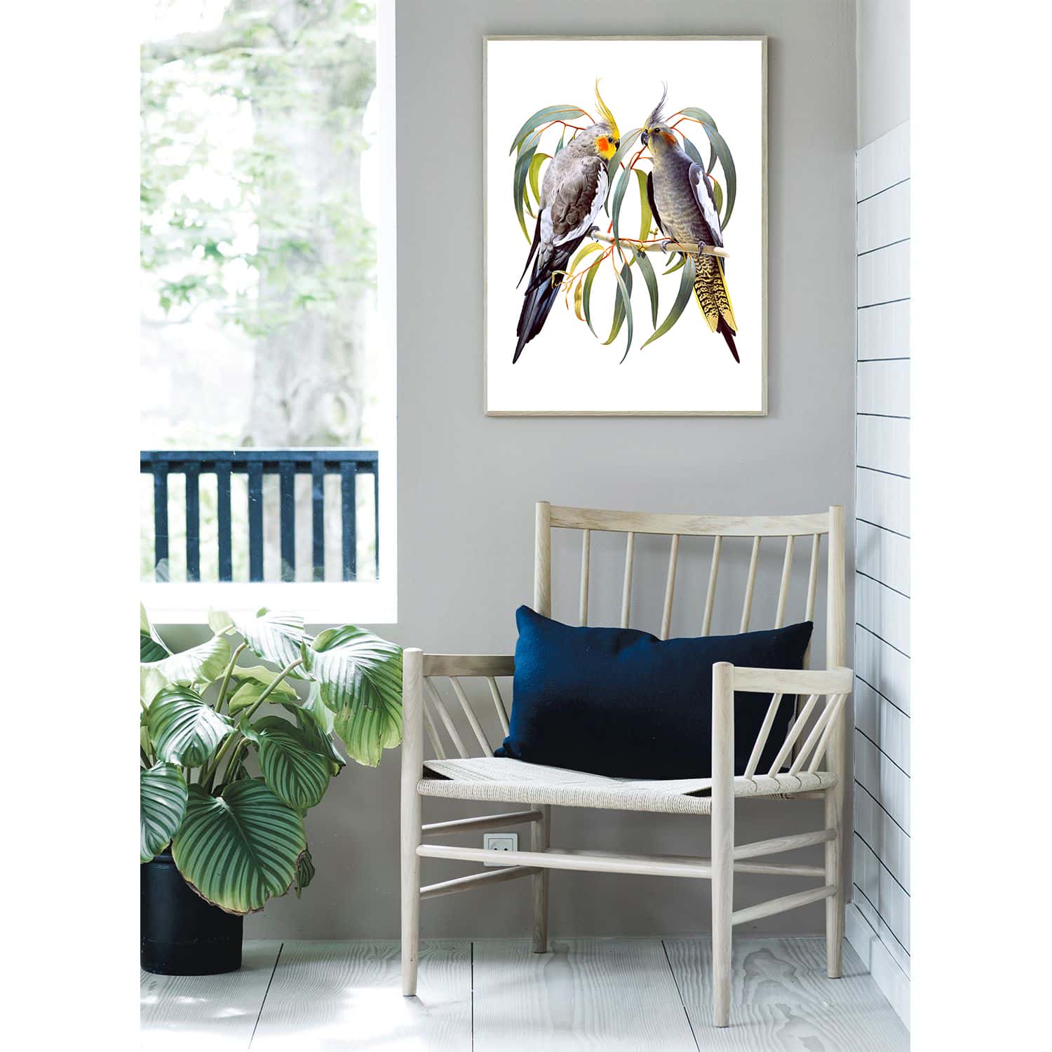 natural wall fine art print featuring a couple of Cockatiel by roger swainston, made in australia.