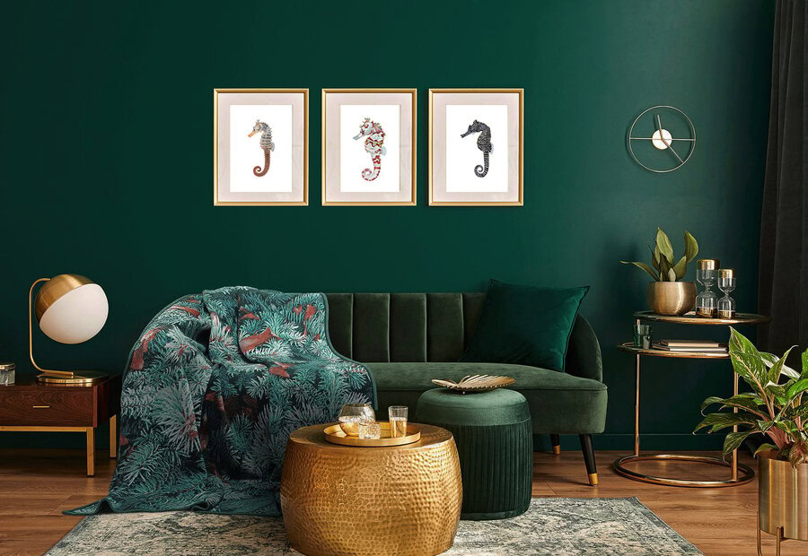 Framed 3 Seahorse prints on green wall