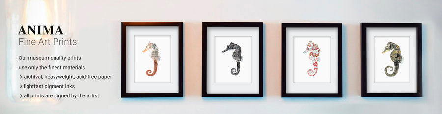 framed 4 Seahorse prints on grey wall