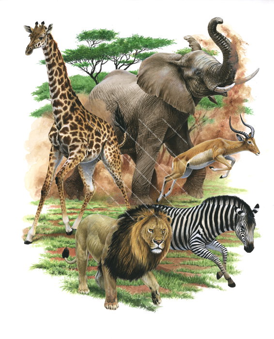 African collage  Mammals-2