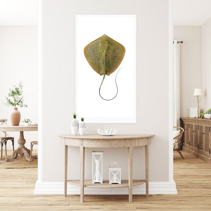 Framed  Fine Art print of the Honeycomb Ray by Roger Swainston