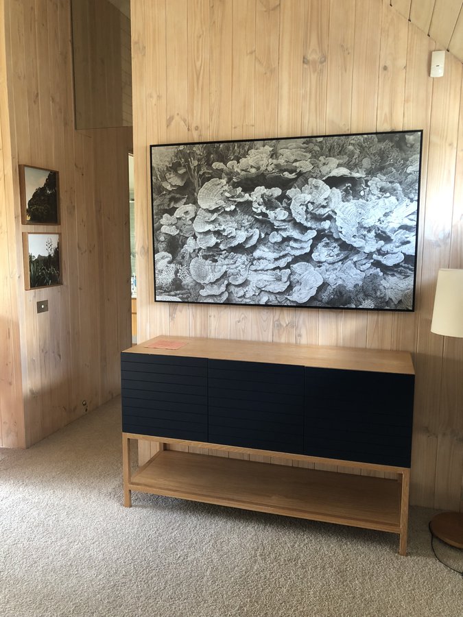 a photo of an underwater coral reef black and white drawing hook on a wood-paneled wall.