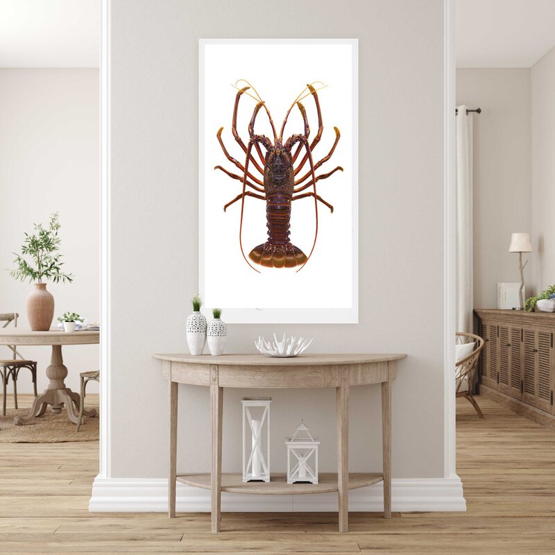 Western Rock Lobster-Print