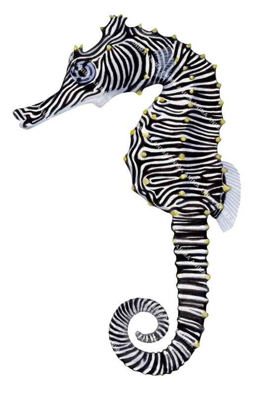 Stunning Fine Art print of the Montebello Seahorse by Roger Swainston