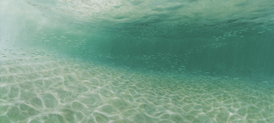 Fine Art print of Underwater South Beach  by Roger Swainston