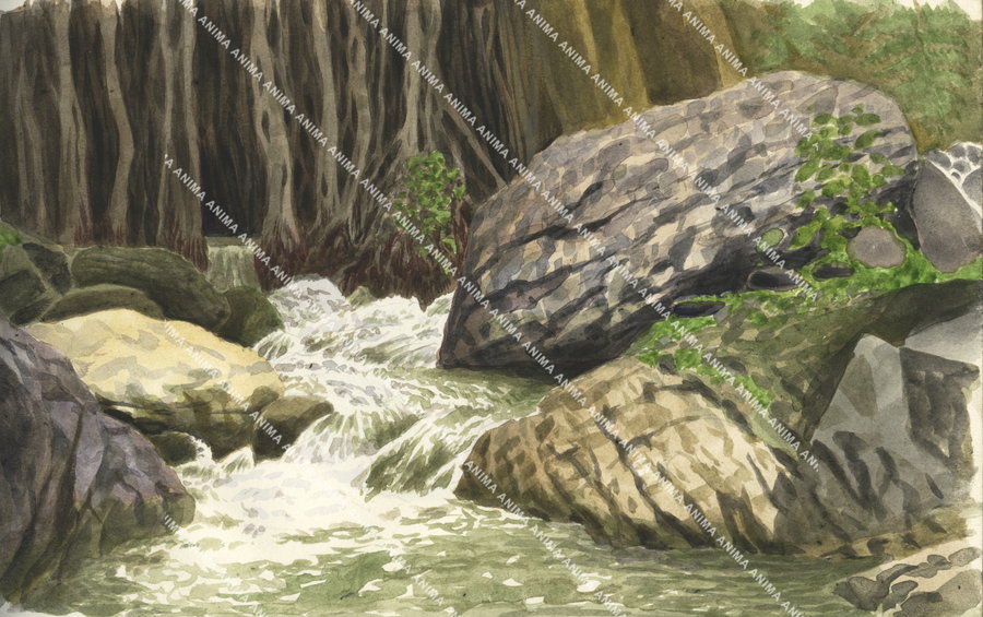 Sketch of the Penaoru River, Vanuatu,Sketch by Roger Swainston