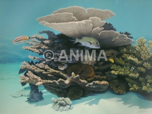 Underwater painting of the Cleaning Station,Ningaloo,Australia,Underwater painting by Roger Swainston 