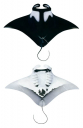 Oceanic Manta Ray-7,Dorsal and ventral view,Manta birostris,painting by Roger Swainston