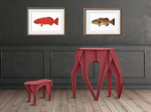 9256_Two_Coral_trouts-_framed_1.jpg