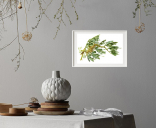 9340_LeafySeadragon_decorLL.jpg